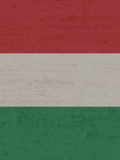 Cargo Transportation to Hungary