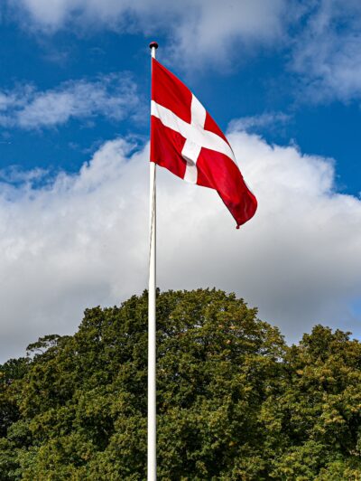 Cargo Delivery Denmark — Ukraine