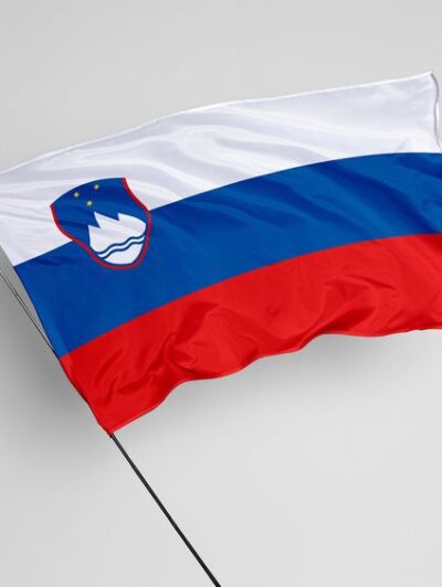 Cargo Transportation Slovenia – Ukraine